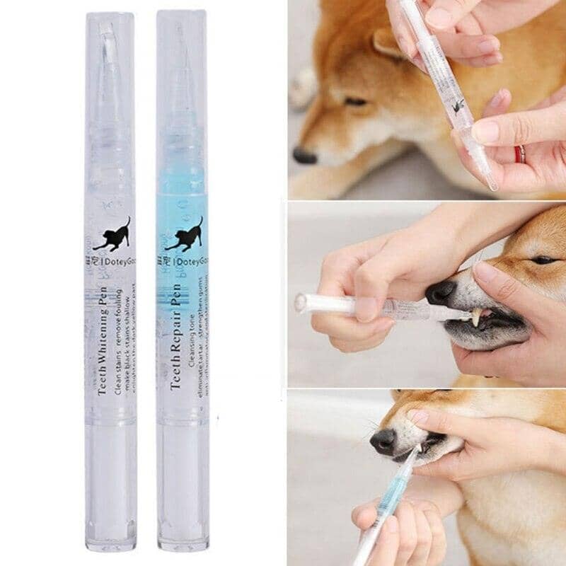 Kit Limpeza de dentes para Pets