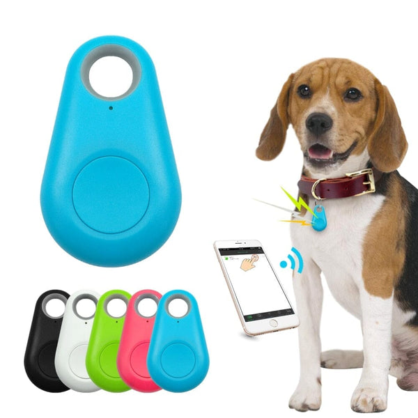 Rastreador GPS Para Cães e Gatos - Rastropet